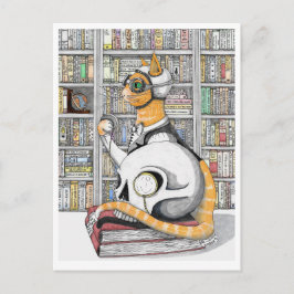 Briefkaart: Luchtvaart voor katten Briefkaart