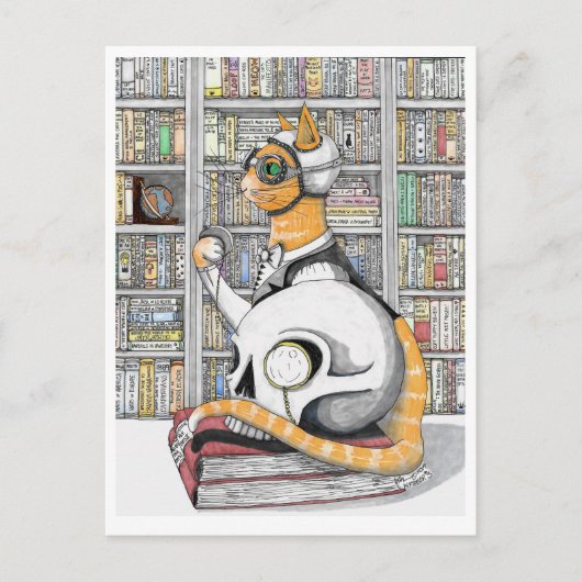 Briefkaart: Luchtvaart voor katten Briefkaart (Voorkant)