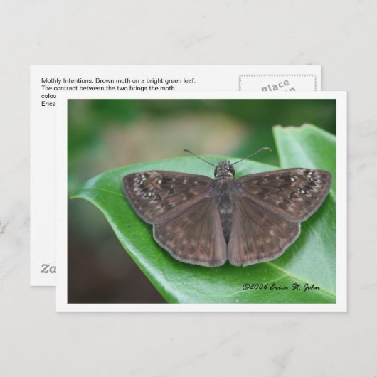 Briefkaart maandelijkse inspringingen (Voorkant / Achterkant)