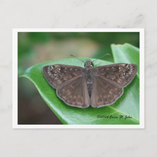 Briefkaart maandelijkse inspringingen