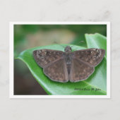 Briefkaart maandelijkse inspringingen (Voorkant)