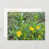 BRIEFKAART MAART (Voorkant / Achterkant)