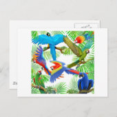 Briefkaart Macaw Oerwoud (Voorkant / Achterkant)