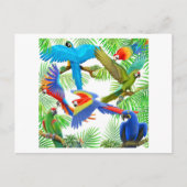 Briefkaart Macaw Oerwoud (Voorkant)