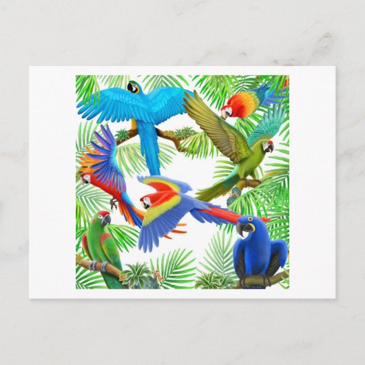 Briefkaart Macaw Oerwoud (Voorkant)