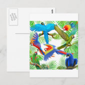Briefkaart Macaw Oerwoud (Voorkant / Achterkant)