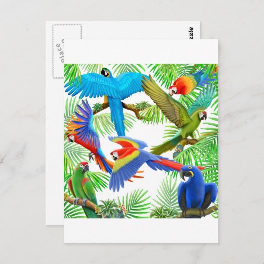 Briefkaart Macaw Oerwoud (Voorkant / Achterkant)
