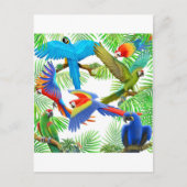 Briefkaart Macaw Oerwoud (Voorkant)