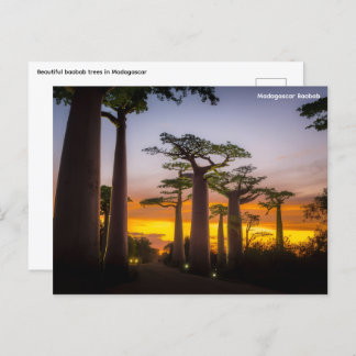 Briefkaart Madagaskar