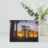 Briefkaart Madagaskar (Staand voorkant)