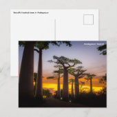 Briefkaart Madagaskar (Voorkant / Achterkant)