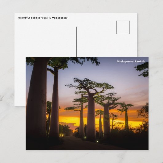 Briefkaart Madagaskar (Voorkant / Achterkant)