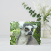 Briefkaart Madagaskar Lemur (Staand voorkant)