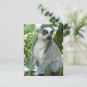 Briefkaart Madagaskar Lemur (Staand voorkant)