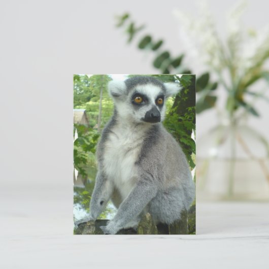 Briefkaart Madagaskar Lemur (Staand voorkant)