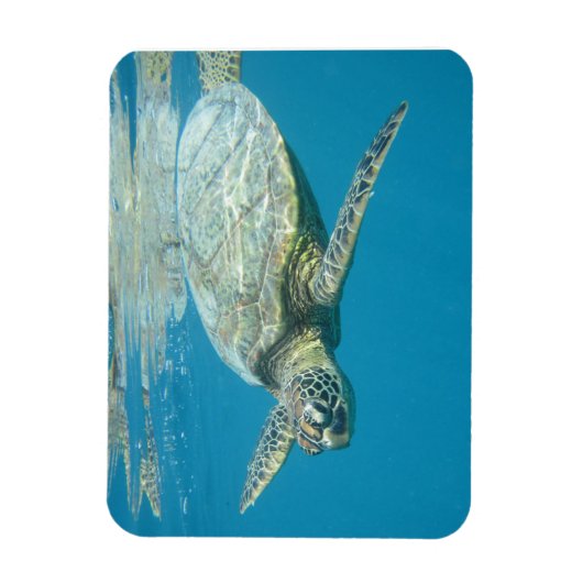 Briefkaart Magneet (Verticaal)