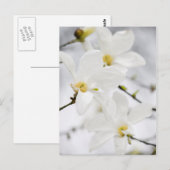 Briefkaart Magnoliumbloemen (Voorkant / Achterkant)
