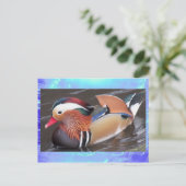 Briefkaart - Mandarijn Duck (Staand voorkant)