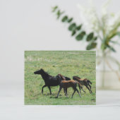 Briefkaart - Mare & Foals actief (Staand voorkant)