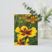 Briefkaart Marigold Flowers (Staand voorkant)