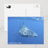 Briefkaart MarineBio (Voorkant / Achterkant)