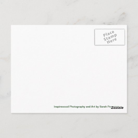 Briefkaart meer Owyhee (Achterkant)