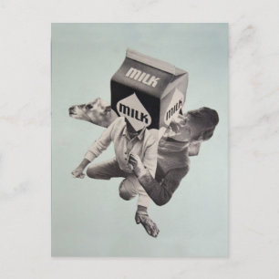 Briefkaart melkkoeling