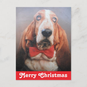 Briefkaart Merry kerstbasset Hound