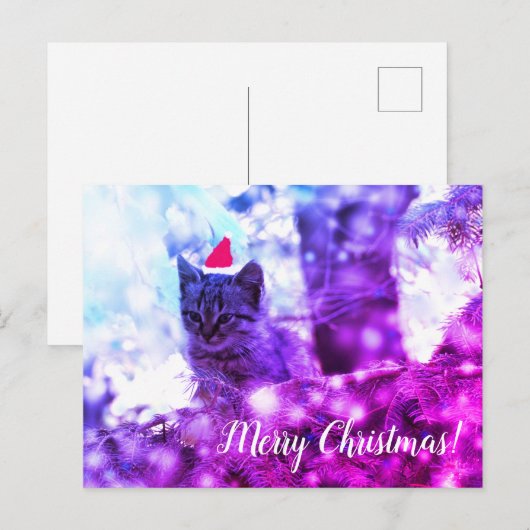 Briefkaart Merry Kerstten (Voorkant / Achterkant)