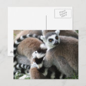 Briefkaart met aangepaste leemuren (Voorkant / Achterkant)