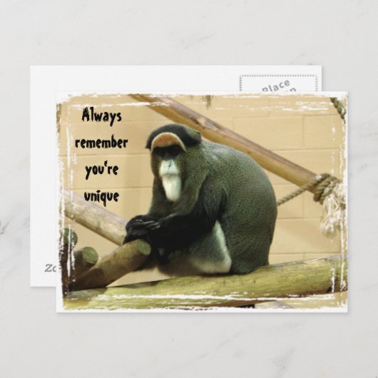 Briefkaart met aap aanmoedigen (Voorkant / Achterkant)