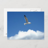 Briefkaart met alleen vliegen (Voorkant / Achterkant)