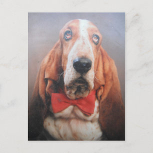 Briefkaart met Basset Hond in Stropdas