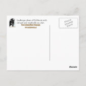 Briefkaart met blauwe wind (Achterkant)