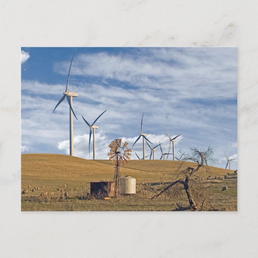 Briefkaart met blauwe wind (Voorkant)