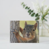 Briefkaart met boomeekhoorn (Staand voorkant)