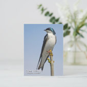 Briefkaart met boomschotel (Staand voorkant)