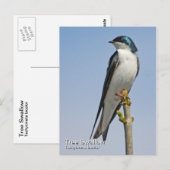 Briefkaart met boomschotel (Voorkant / Achterkant)