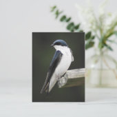 Briefkaart met boomschotel (Staand voorkant)