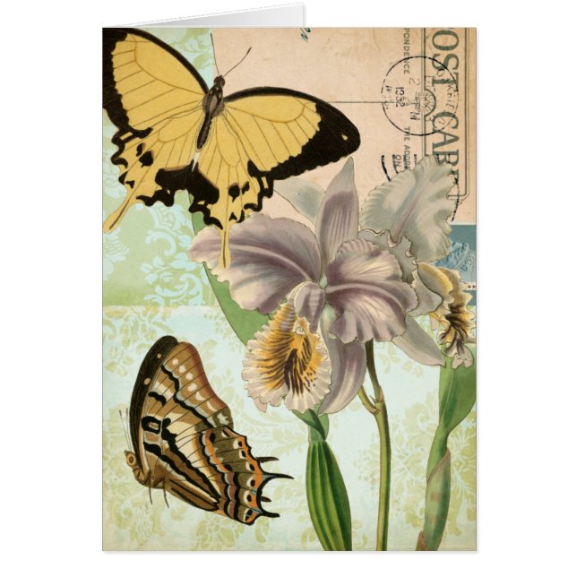  Briefkaart met Butterflies en Flowers (Voorkant)