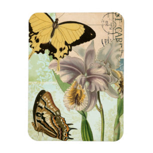 Briefkaart met Butterflies en Flowers Magneet