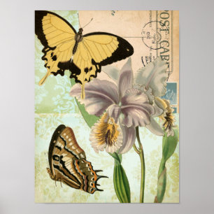  Briefkaart met Butterflies en Flowers Poster