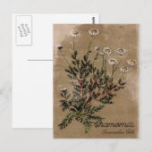 Briefkaart met chamomile-ventilator (Voorkant / Achterkant)