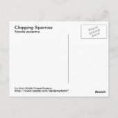 Briefkaart met chipruggengraat (Achterkant)