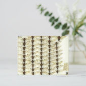 Briefkaart met Cicadas (Staand voorkant)