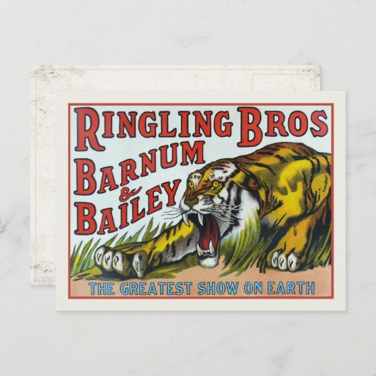 Briefkaart met  Circus Tiger afdrukken (Voorkant / Achterkant)