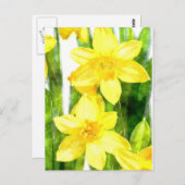 Briefkaart met Daffodils in waterverf (Voorkant / Achterkant)