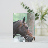 Briefkaart met Dark Bay Horse (Staand voorkant)