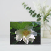Briefkaart met delicate witte Lotus Flower (Staand voorkant)