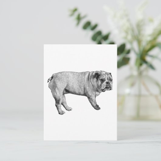 Briefkaart met dennenranden (Staand voorkant)